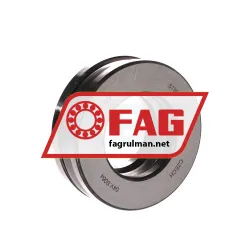 FAG 51309