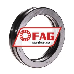 FAG 51118