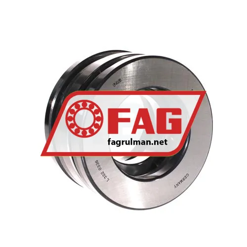 FAG 52313