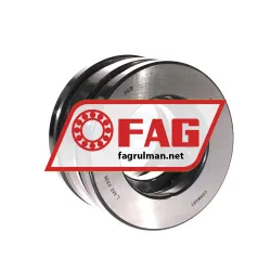 FAG 52313