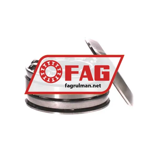 FAG 54309