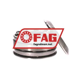 FAG 54309