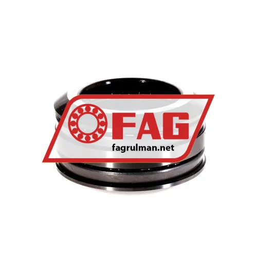 FAG 54209