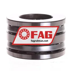 FAG 52309