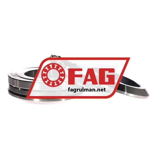 FAG 54220