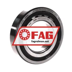 FAG 52215