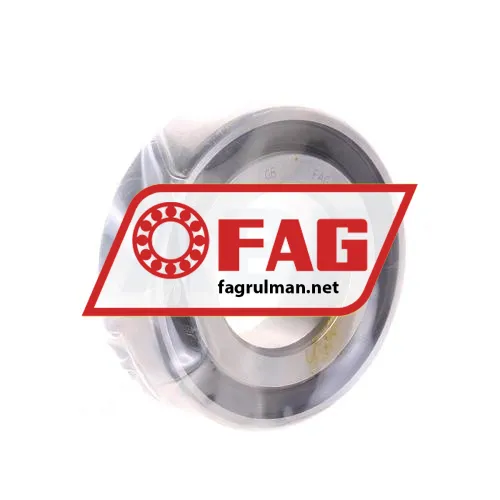 FAG 7602025-2RS-TVP