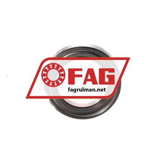 FAG S61803-2Z-HLC