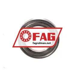 FAG S61803-2Z-HLC rulman resim 2