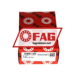 FAG S61803-2Z-HLC rulman resim 3