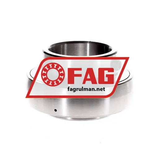 FAG S6210