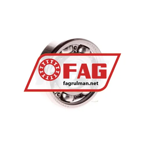 FAG S6304-W203B