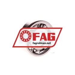 FAG S6304-W203B rulman resim 2