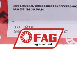 FAG S61700-2RSR-HLC rulman resim 4