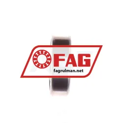 FAG S6200-2RSR-HLC rulman resim 2
