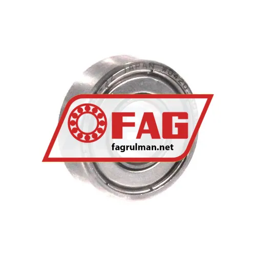 FAG S698-2Z-HLC