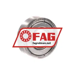 FAG S698-2Z-HLC