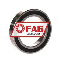FAG S61909-2RSR-HLC rulman resim 2