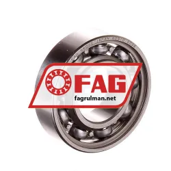 FAG S6002-HLC