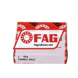FAG S6002-HLC rulman resim 2