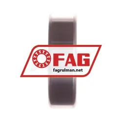 FAG S6205-2RSR-HLC rulman resim 2