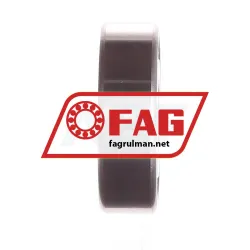 FAG S6203-2RSR-HLC rulman resim 2