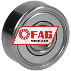 FAG SR3-2Z-HLC rulman resim 2