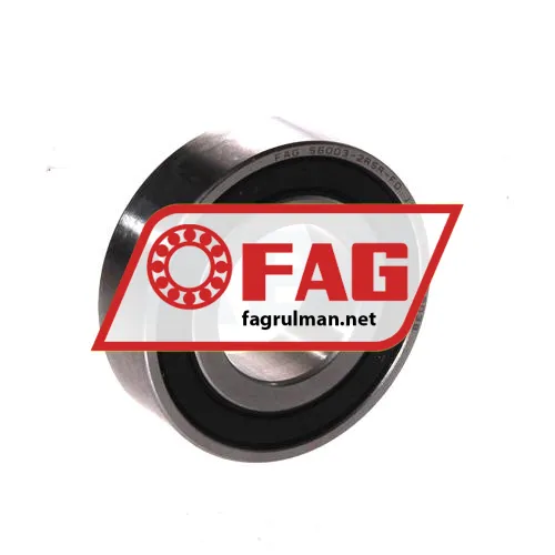FAG S6003-2RSR-FD