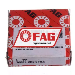 FAG S6005-2RSR-HLC rulman resim 2