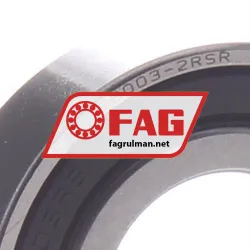 FAG S6003-2RSR-HLC rulman resim 3