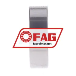 FAG S6003-2RSR-HLC rulman resim 4