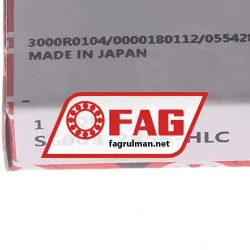 FAG S6003-2RSR-HLC rulman resim 6