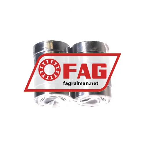 FAG S689-2Z-HLC