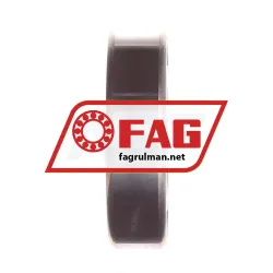 FAG S6206-2RSR-HLC rulman resim 3