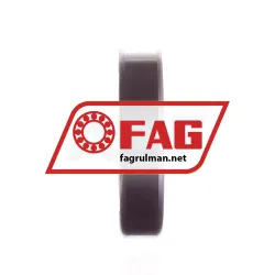 FAG S6008-2RSR-HLC rulman resim 2