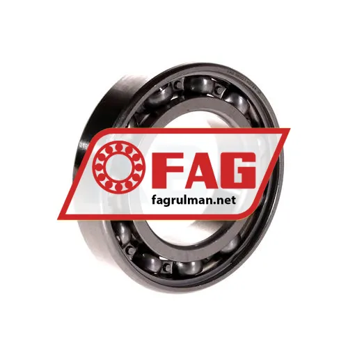 FAG S6007-HLC ürün fotoğrafı 2