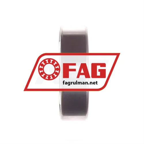 FAG S6004-2RSR-HLC ürün fotoğrafı 2