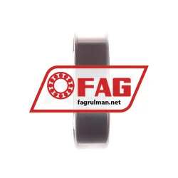 FAG S6004-2RSR-HLC rulman resim 2