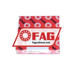 FAG S6009-2RSR-HLC rulman resim 2