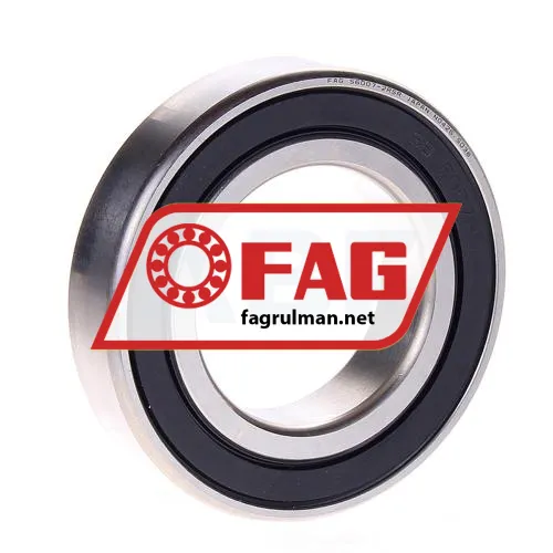 FAG S6007-2RSR-HLC