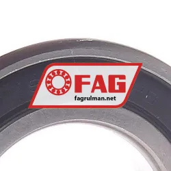 FAG S6006-2RSR-HLC rulman resim 2
