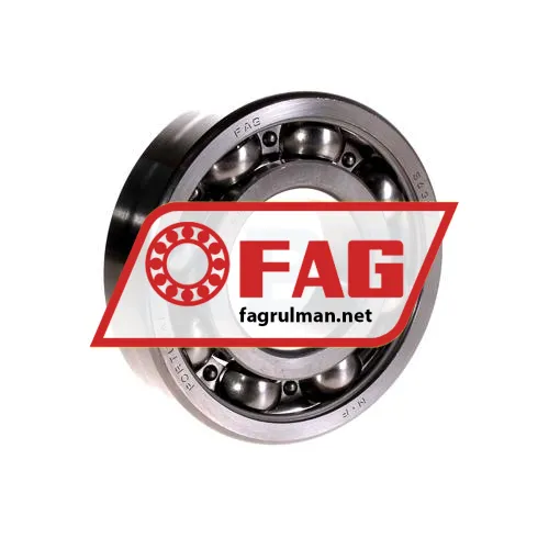 FAG S6309-W203B