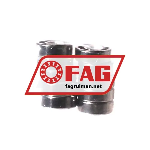 FAG S602-X-HLC