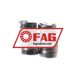 FAG S602-X-HLC