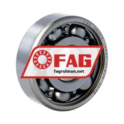 FAG S6303-HLC