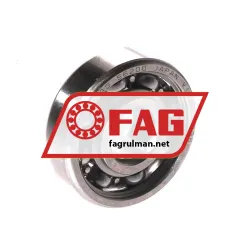 FAG S6200-HLC