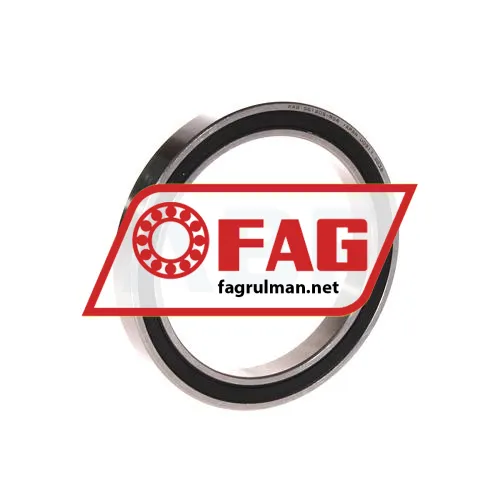 FAG S61809-RSR-HLC