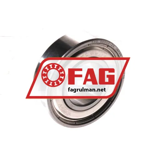 FAG S6002-2Z-HLC