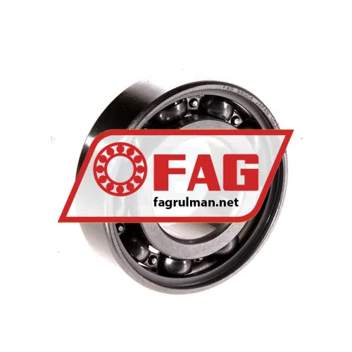 FAG S6004-HLC