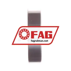 FAG S61904-2RSR-HLC rulman resim 2